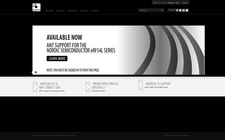 Screenshot of thisisant.com