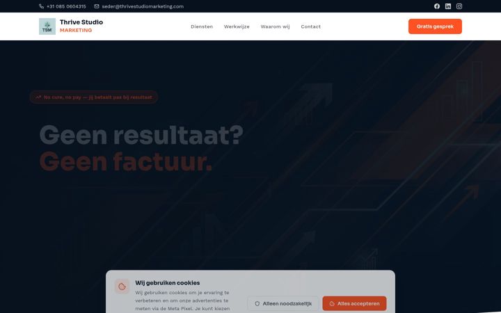 Skærmbillede af thrivestudiomarketing.com
