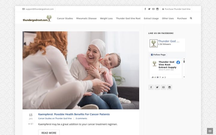 Screenshot of thundergodroot.com