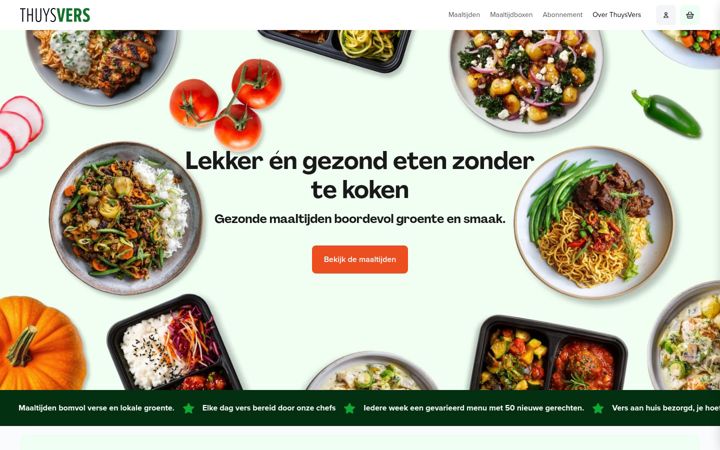 Snímek obrazovky thuysvers.nl