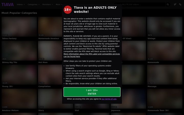 Zrzut ekranu tiava.com