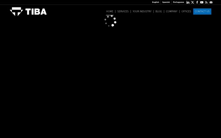 Screenshot of tibagroup.com