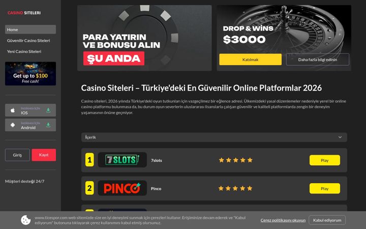 Screenshot of ticespor.com