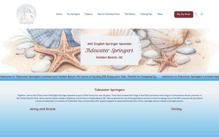 tidewaterspringers.com