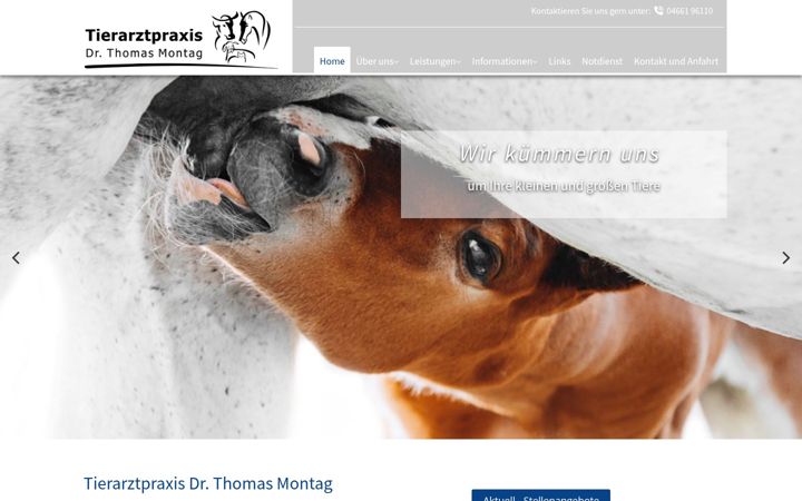 tierarzt-risum.de