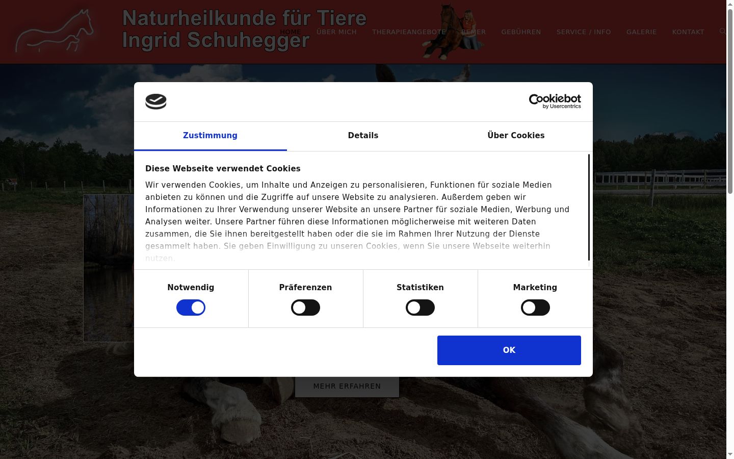 Ekrānuzņēmums ar piekrišanas baneri, kas tika rādīts pirms jebkādas mijiedarbības