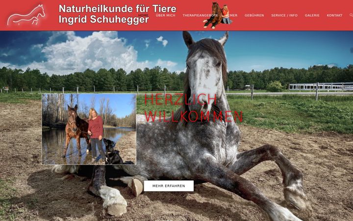 Ekrānuzņēmums no tierheil.de