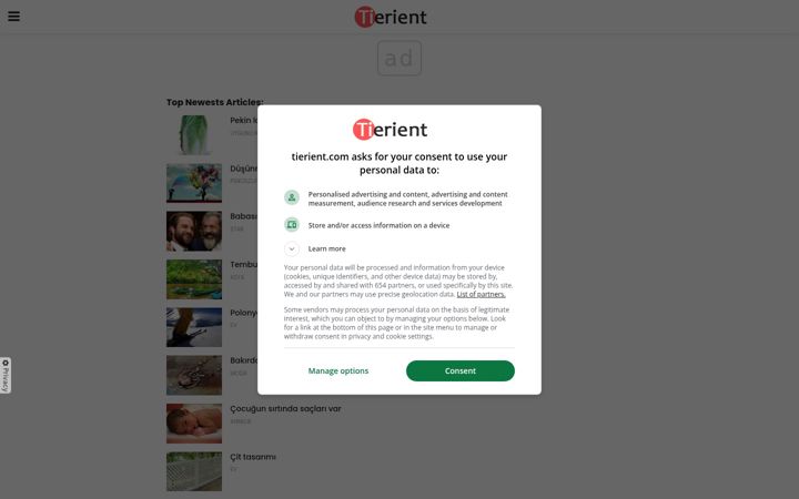 Screenshot of tierient.com