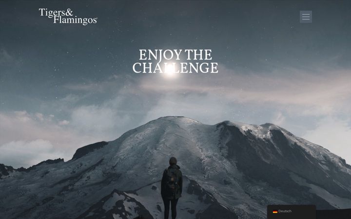 Screenshot of tigersandflamingos.com