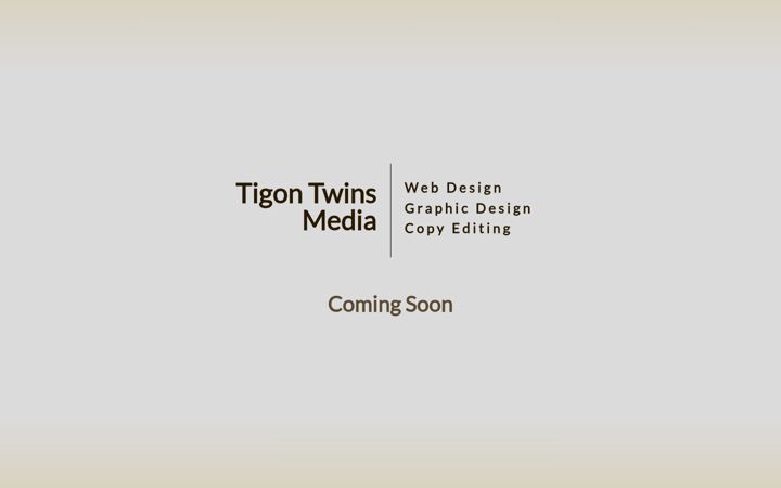 Screenshot of tigontwins.com