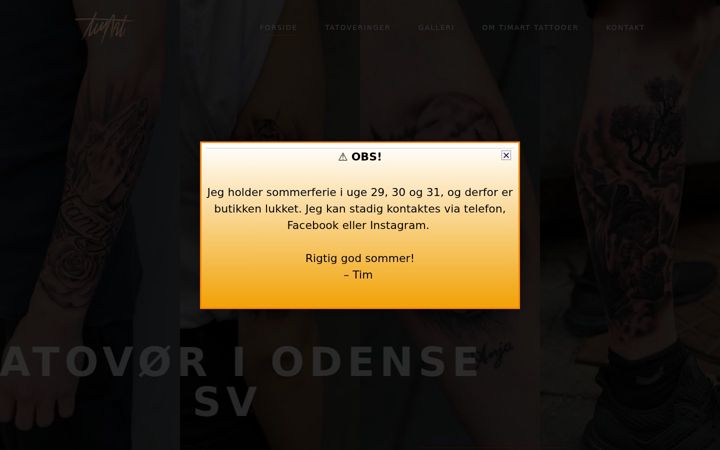 Screenshot of timart.dk