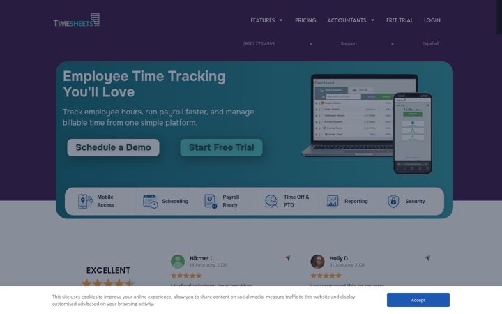 Screenshot of timesheets.com