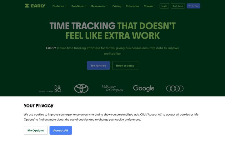 Screenshot of timeular.com