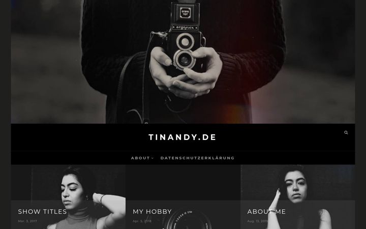 Screenshot of tinandy.de