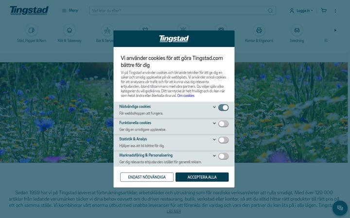 Screenshot of tingstad.com