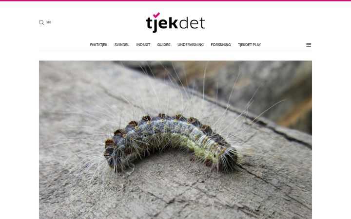 Snímek obrazovky tjekdet.dk