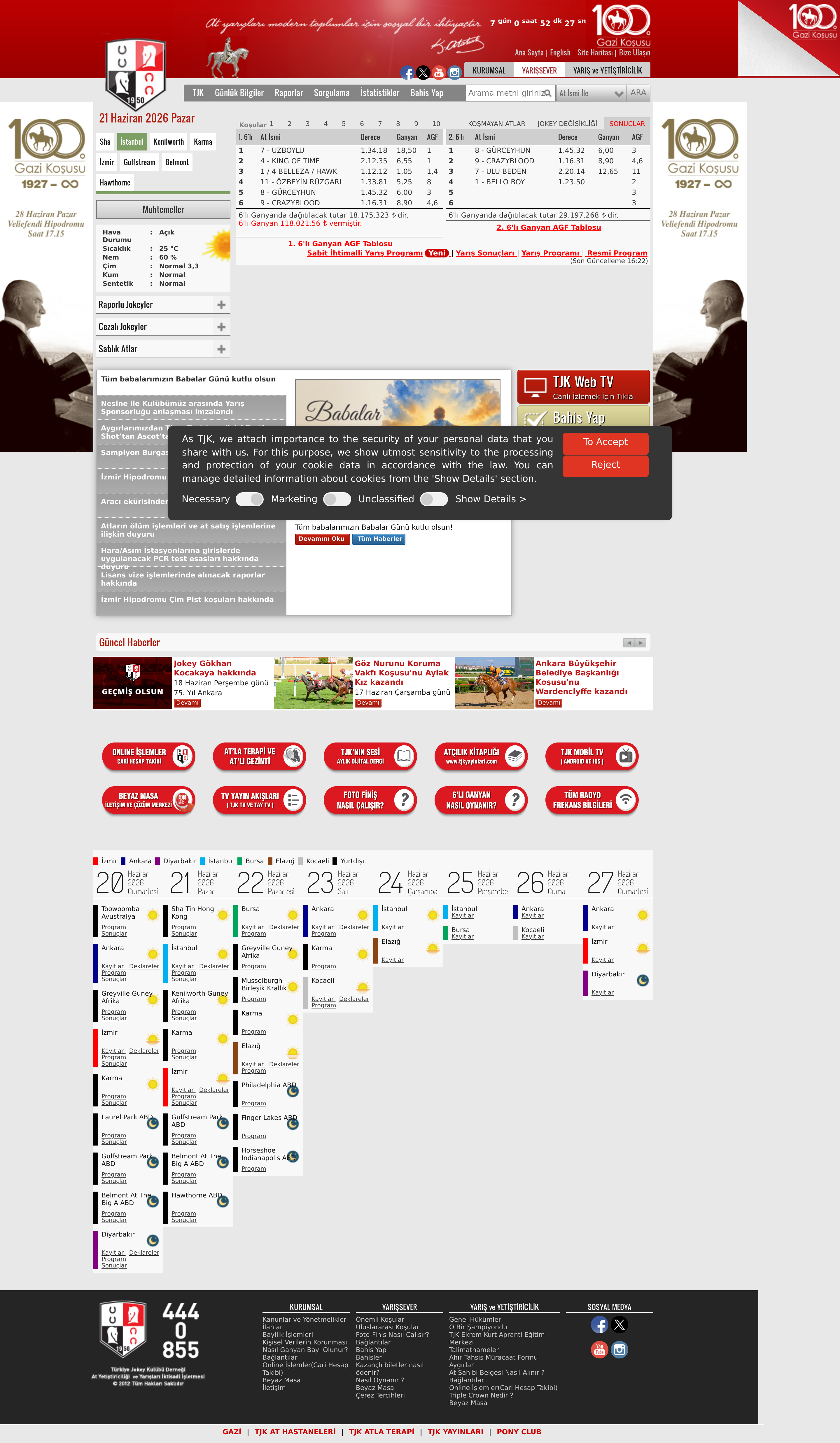 Screenshot of tjk.org