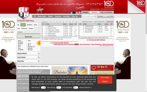 Screenshot of tjk.org