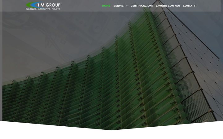Zrzut ekranu tmgroup.it