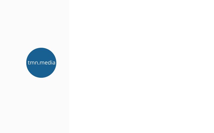 Screenshot of tmn.media