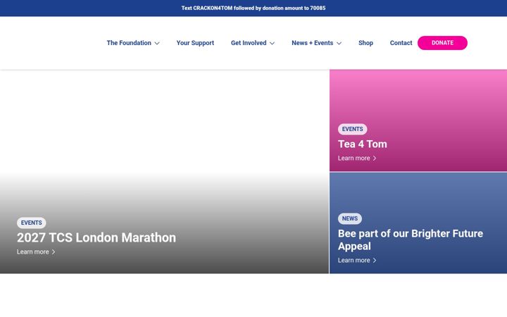 Screenshot of tombowdidgefoundation.org