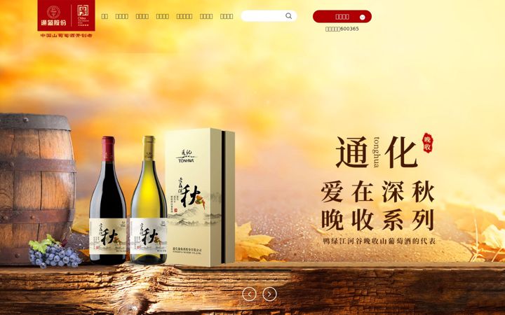 Screenshot von tonhwa.com