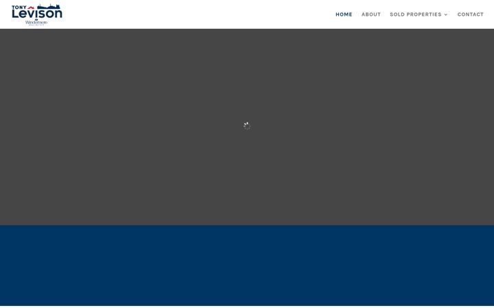 Screenshot of tonylevisonrealestate.com