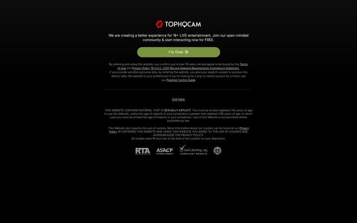Screenshot of tophqcam.com