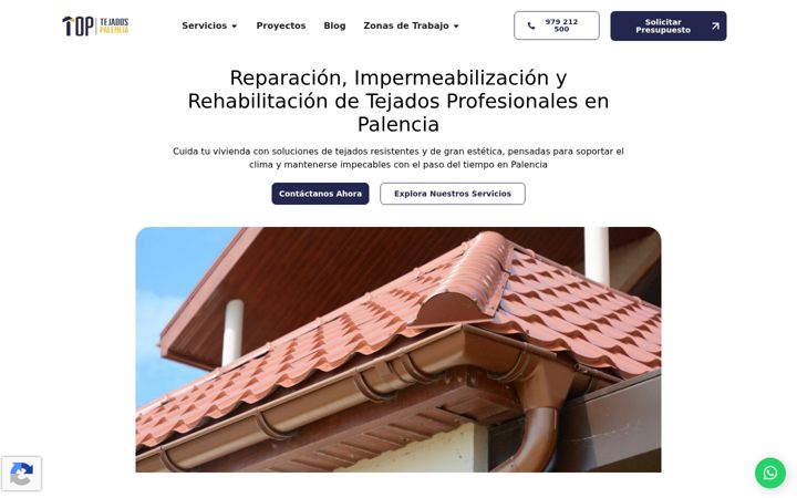 Screenshot van toptejadospalencia.com