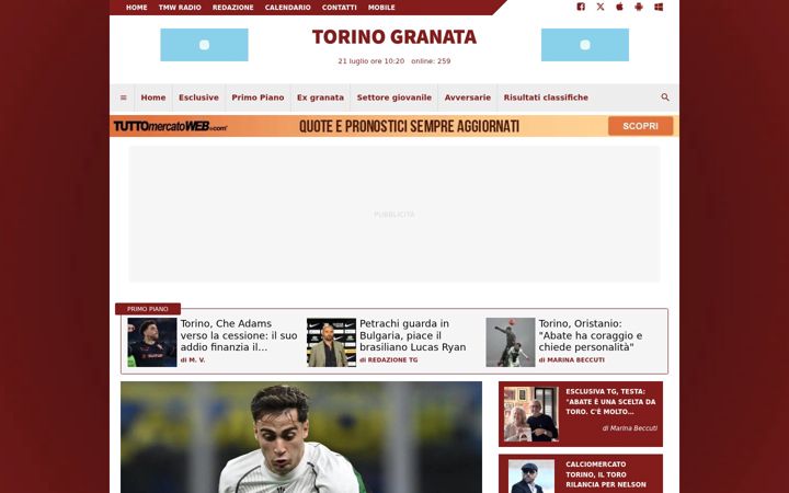 Screenshot of torinogranata.it