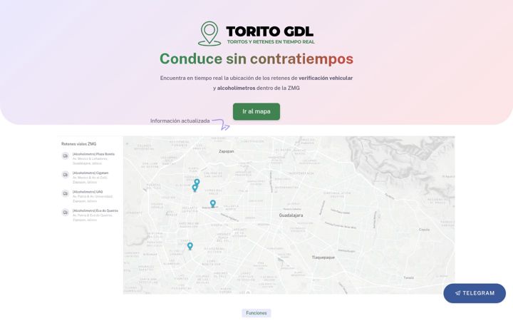 Screenshot of toritogdl.com