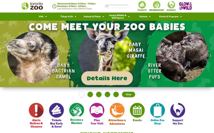 Screenshot of torontozoo.com