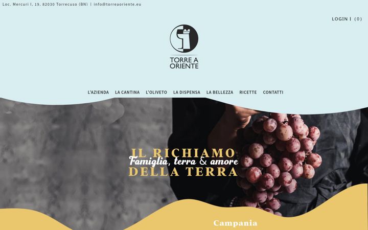 Screenshot of torreaoriente.com