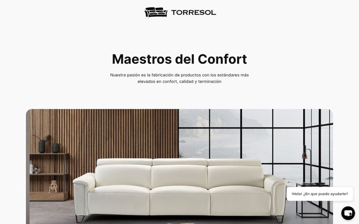 Screenshot of torresolfurniture.com