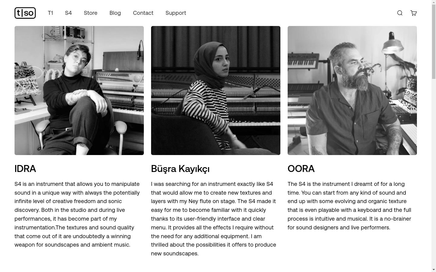 Screenshot of torsoelectronics.com