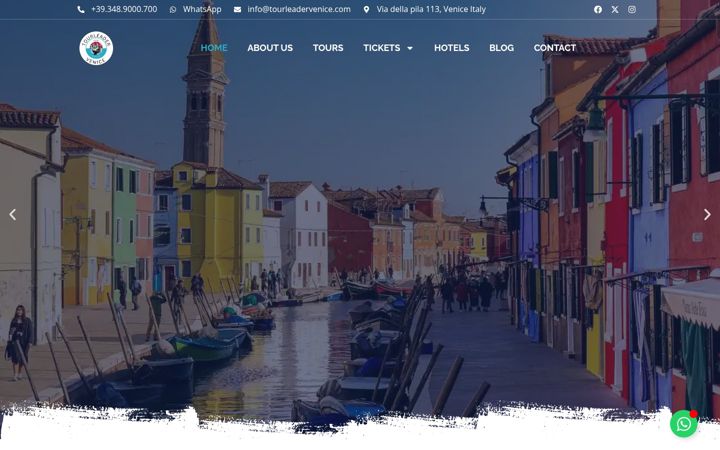 Screenshot of tourleadervenice.com