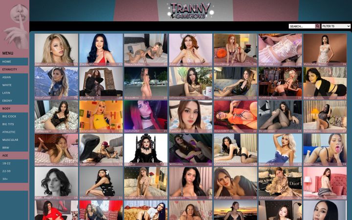Screenshot of trannycamshows.com