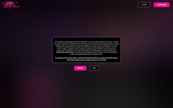 Screenshot of transangels.com