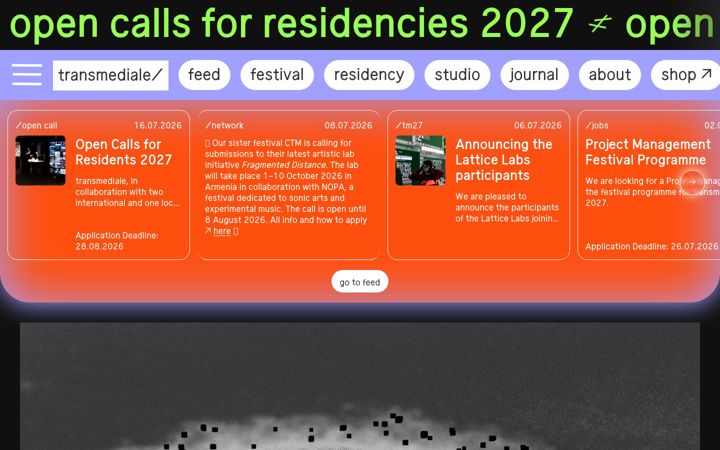 Screenshot of transmediale.de