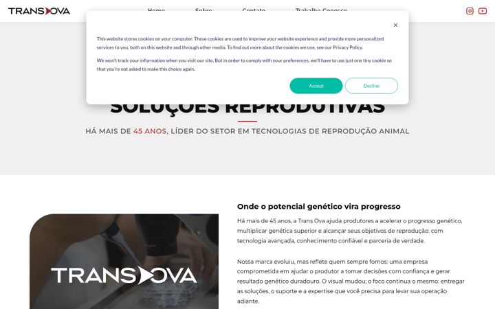 Zrzut ekranu transova.com.br