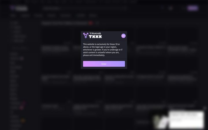 Screenshot of transtxxx.com