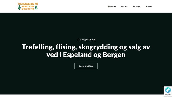 trehuggeren.no