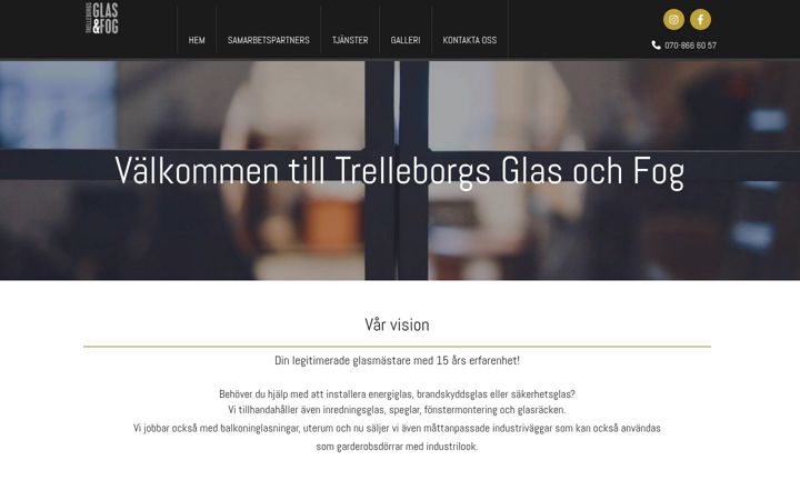 Zrzut ekranu trelleborgsglas.se
