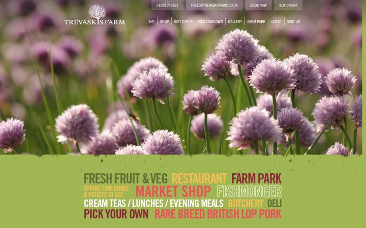 Screenshot of trevaskisfarm.co.uk