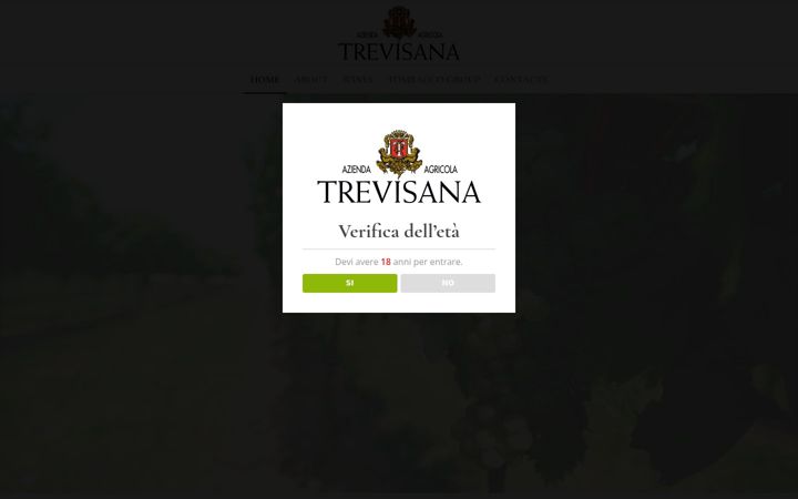 Zrzut ekranu trevisana.com