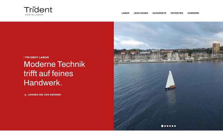Screenshot of tri-dent.net