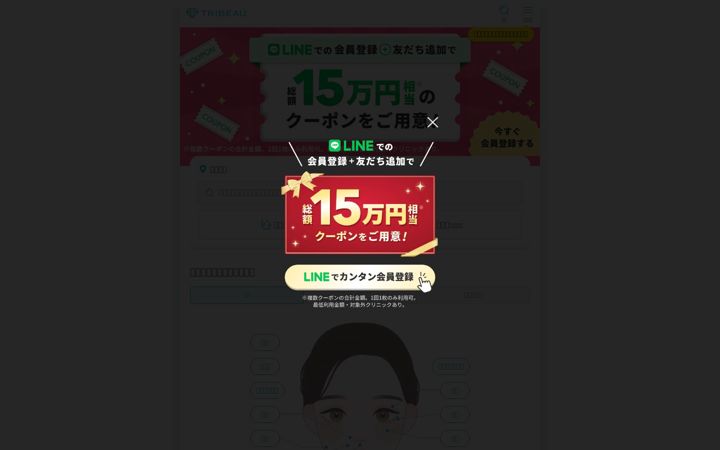 Screenshot of tribeau.jp