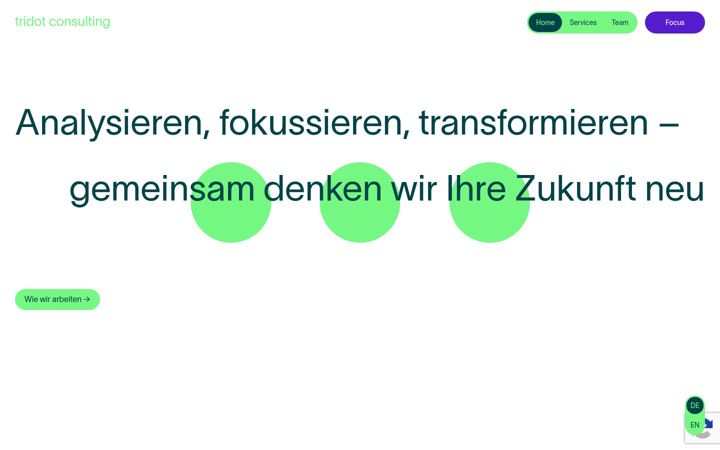 tridot-consulting.com