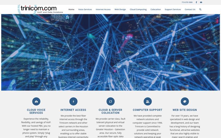 Screenshot of trinicom.com