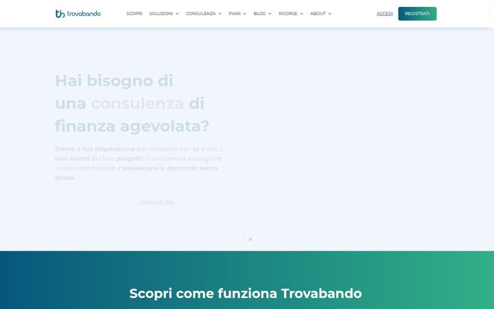 Screenshot of trovabando.it